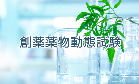 創薬薬物動態試験